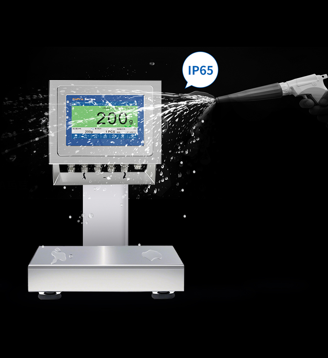 GMC-P7(F8) 稱重儀表（靜態(tài)檢重應(yīng)用）