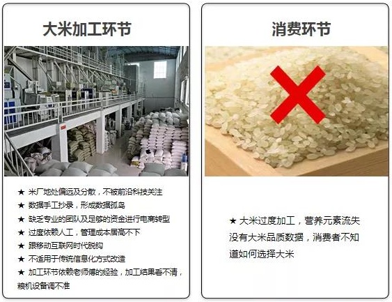 坤湛科技獲首輪融資2000萬美金后：攜手杰曼科技助力大米數(shù)字化轉(zhuǎn)型